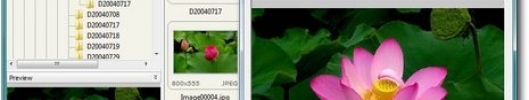 FastStone Image Viewer 4.1